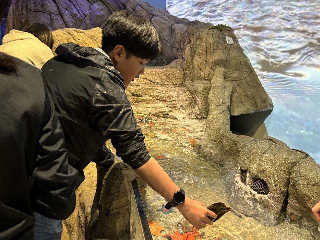 1716099919055.jpg